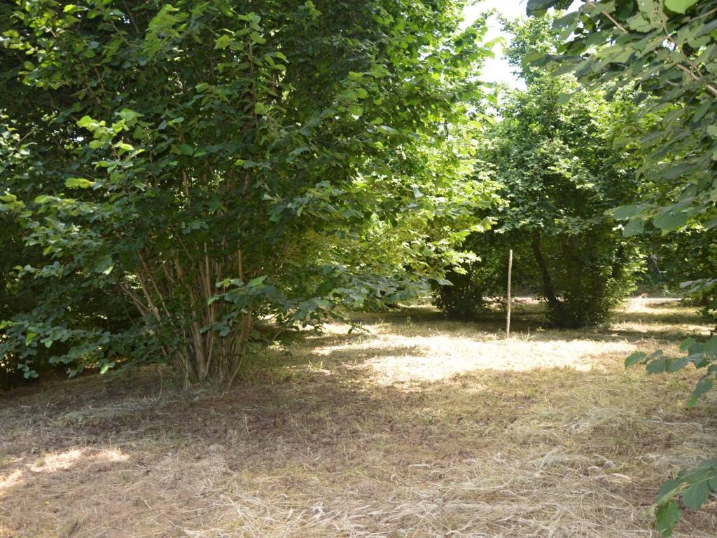 Terreno a Atripalda in Via Tiratore - Foto 5