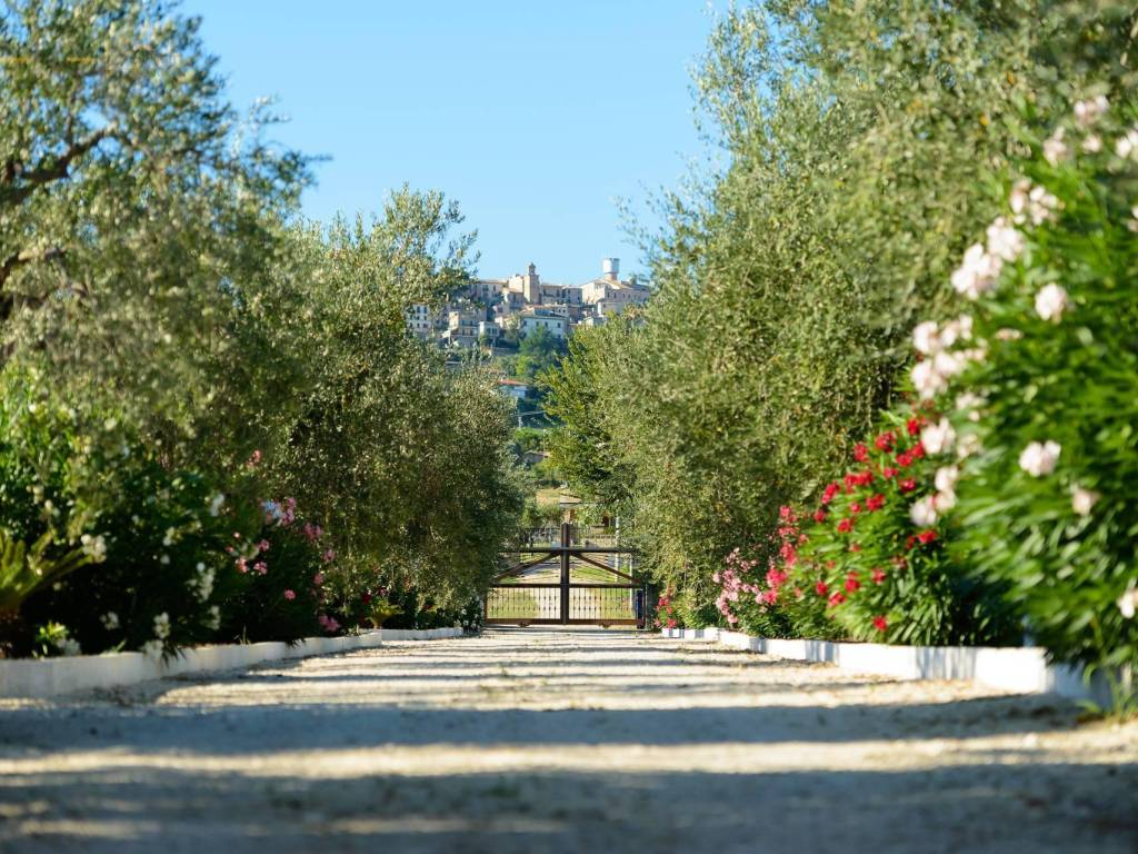 Rustico / casale a Colonnella in Contrada Rio Moro - Foto 3