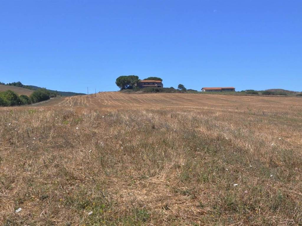 Rustico / casale a Bibbona in Strada Vicinale di Faltona - Foto 2