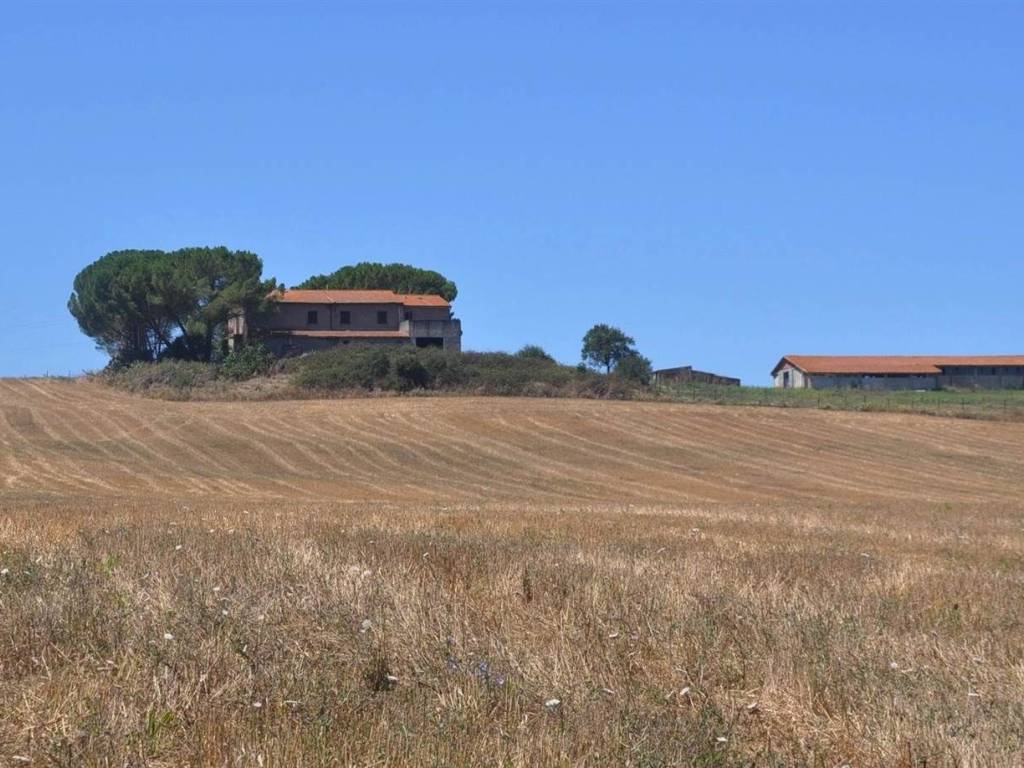 Rustico / casale a Bibbona in Strada Vicinale di Faltona - Foto 3