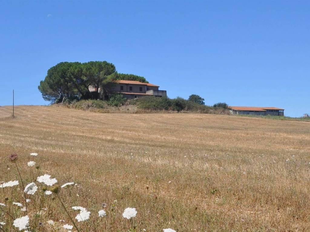 Rustico / casale a Bibbona in Strada Vicinale di Faltona - Foto 4