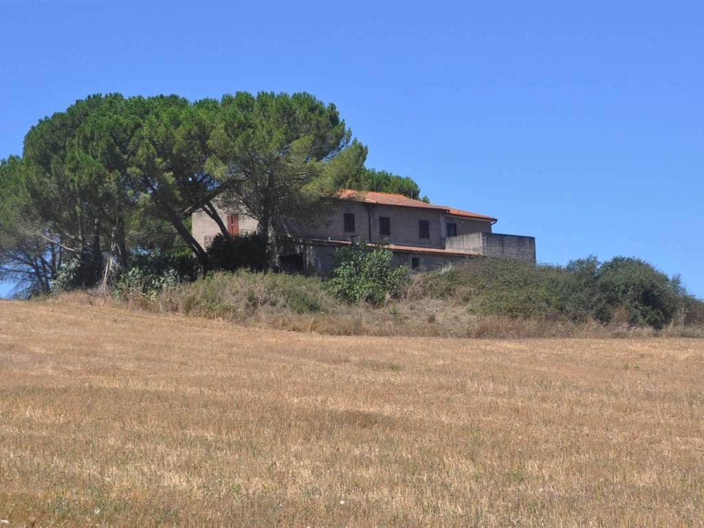 Rustico / casale a Bibbona in Strada Vicinale di Faltona - Foto 5