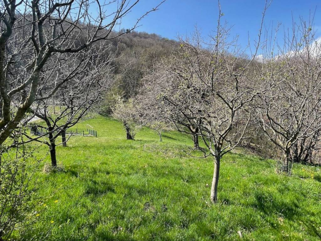 Villa a Biella in Strada Cantone Pezza - Foto 4