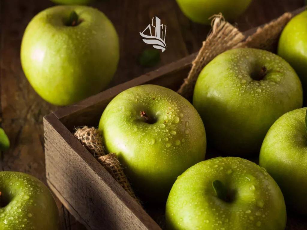 Terreno a Magrè sulla strada del vino in Magreid - Foto 2