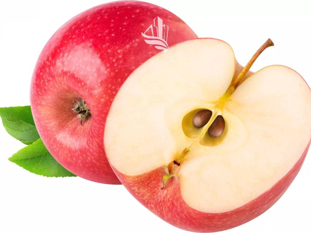 Terreno a Magrè sulla strada del vino in Magreid - Foto 5