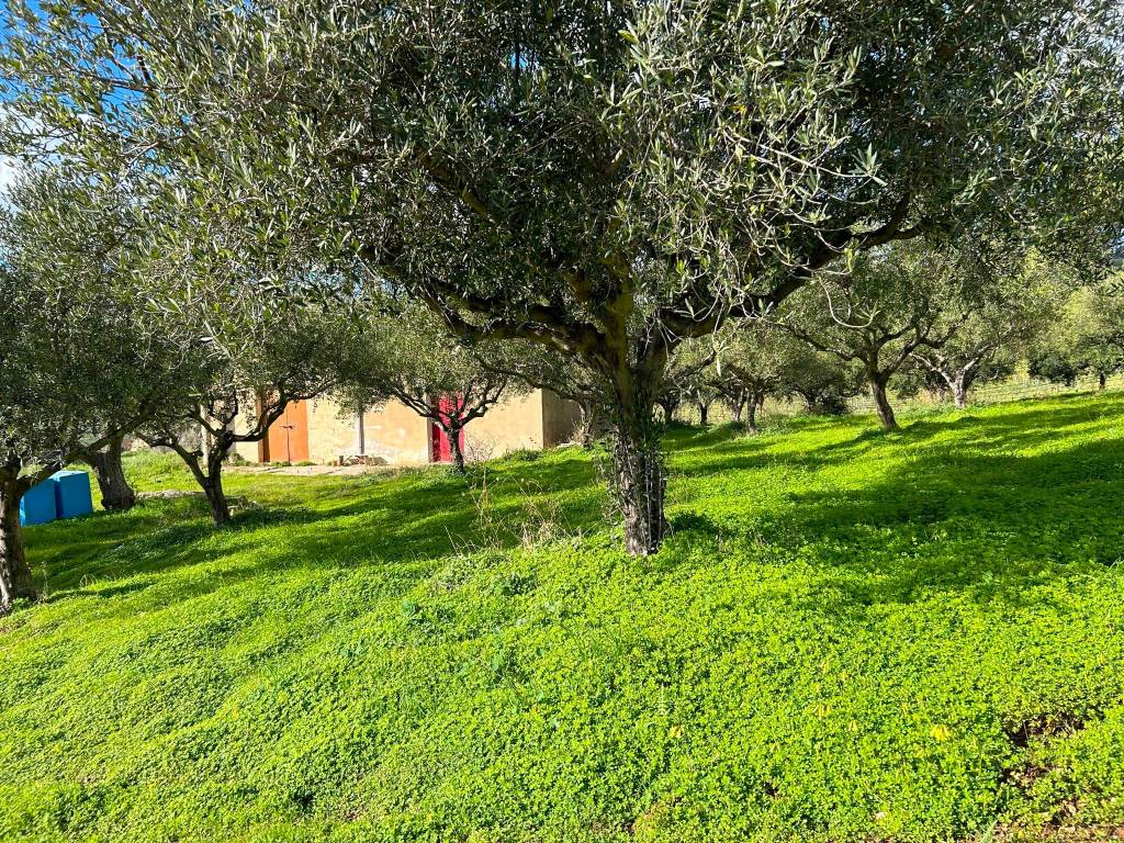 Terreno a Castellammare del golfo in SP23 - Foto 2
