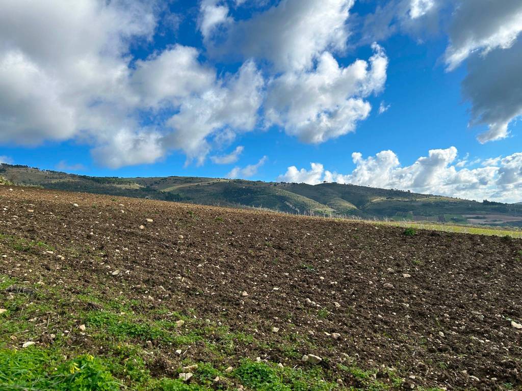 Terreno a Castellammare del golfo in SP23 - Foto 4