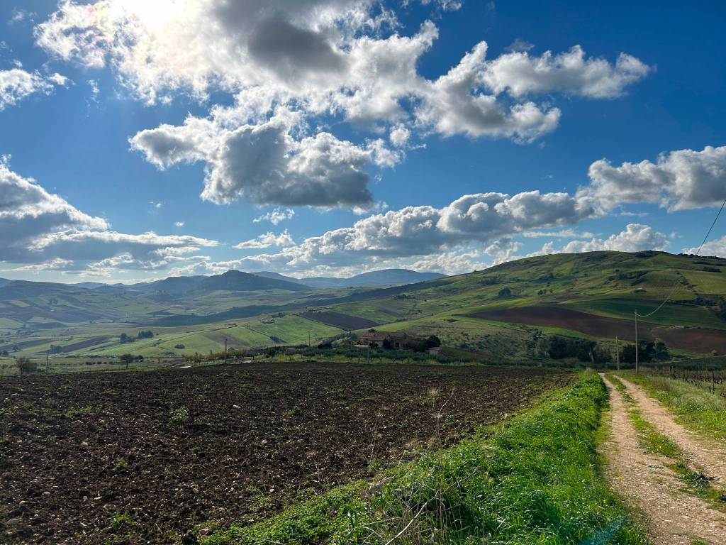 Terreno a Castellammare del golfo in SP23 - Foto 5