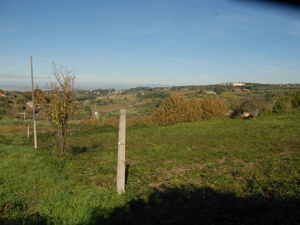 Terreno a Grottaferrata in Via Castel De Paolis, 1 - Foto 1