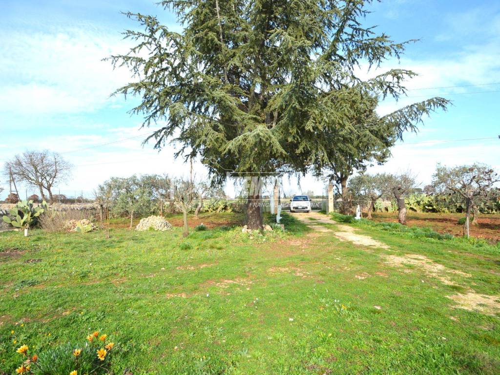 Villa a Gioia del colle in Strada Vicinale Pavoncelli - Foto 2