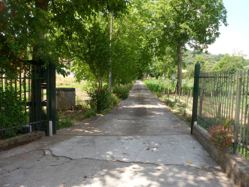 Rustico / casale a Airola in Strada Provinciale Caudina Tronco 2 - Foto 4