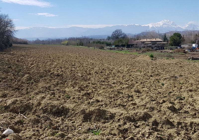 Terreno a Moscufo in Bivio Casone - Foto 3