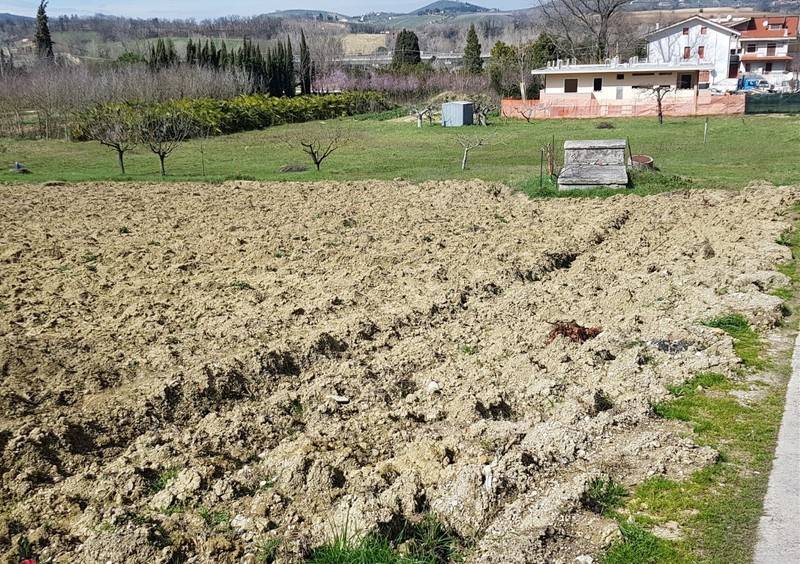 Terreno a Moscufo in Bivio Casone - Foto 4