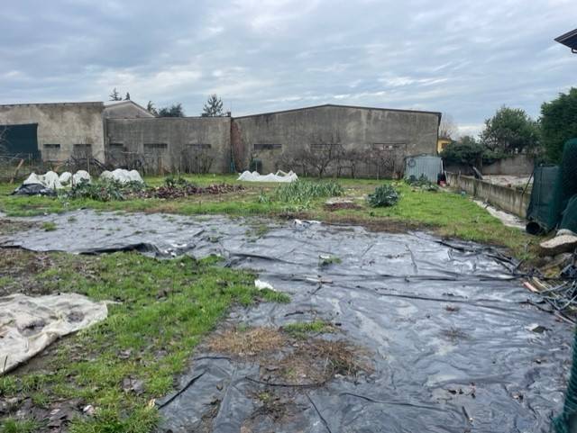 Terreno a Guardamiglio - Foto 2