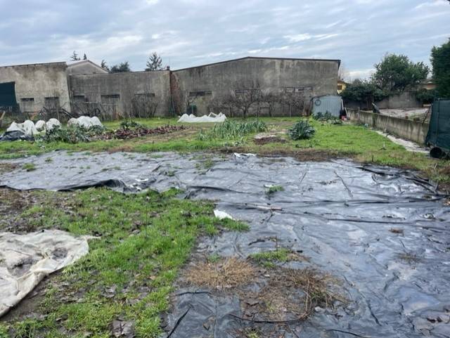 Terreno a Guardamiglio - Foto 5
