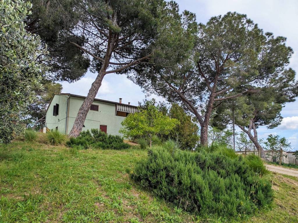 Rustico / casale a Roccastrada - Foto 4