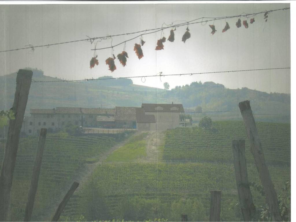 Rustico / casale a Monforte d'alba in Località San Giuseppe - Foto 4