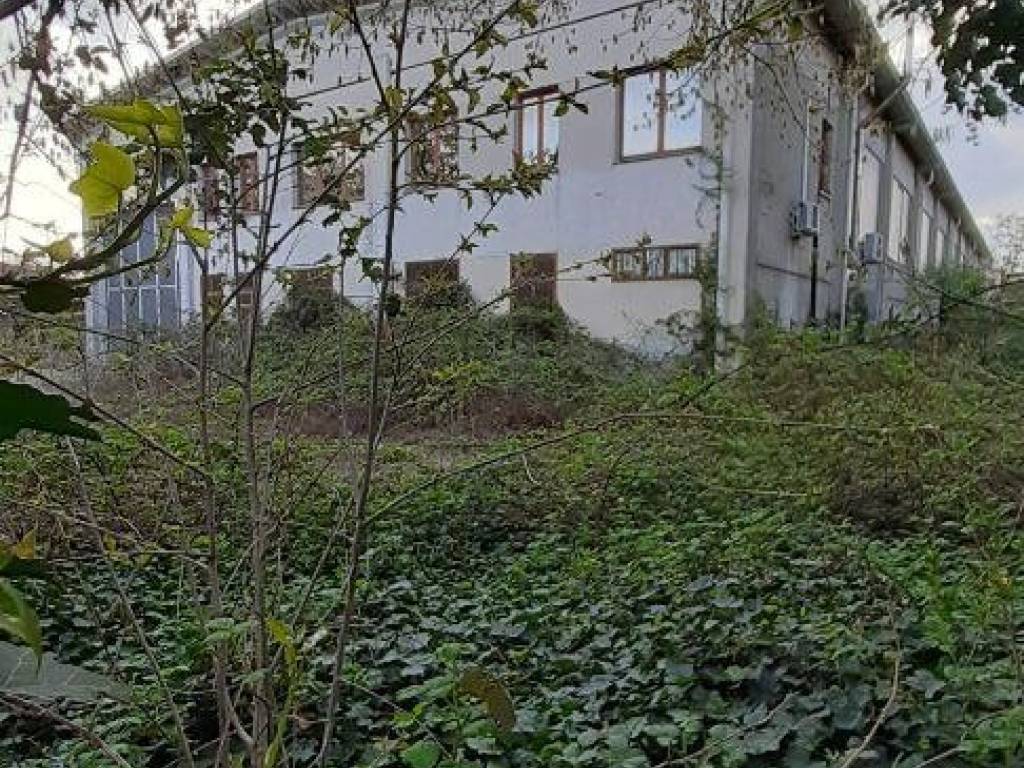 Immobile a Cavaglià in Strada della Mandria, 14 - Foto 5