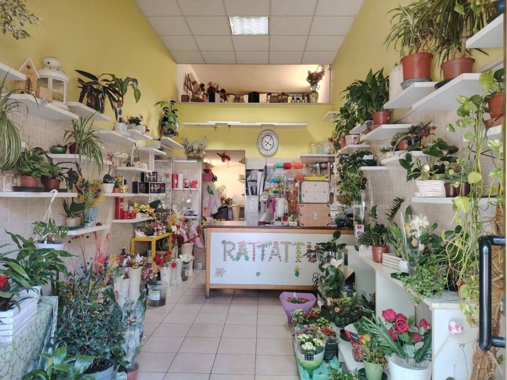 Immobile a Castignano in Via Borgo Giuseppe Garibaldi, 55 - Foto 2