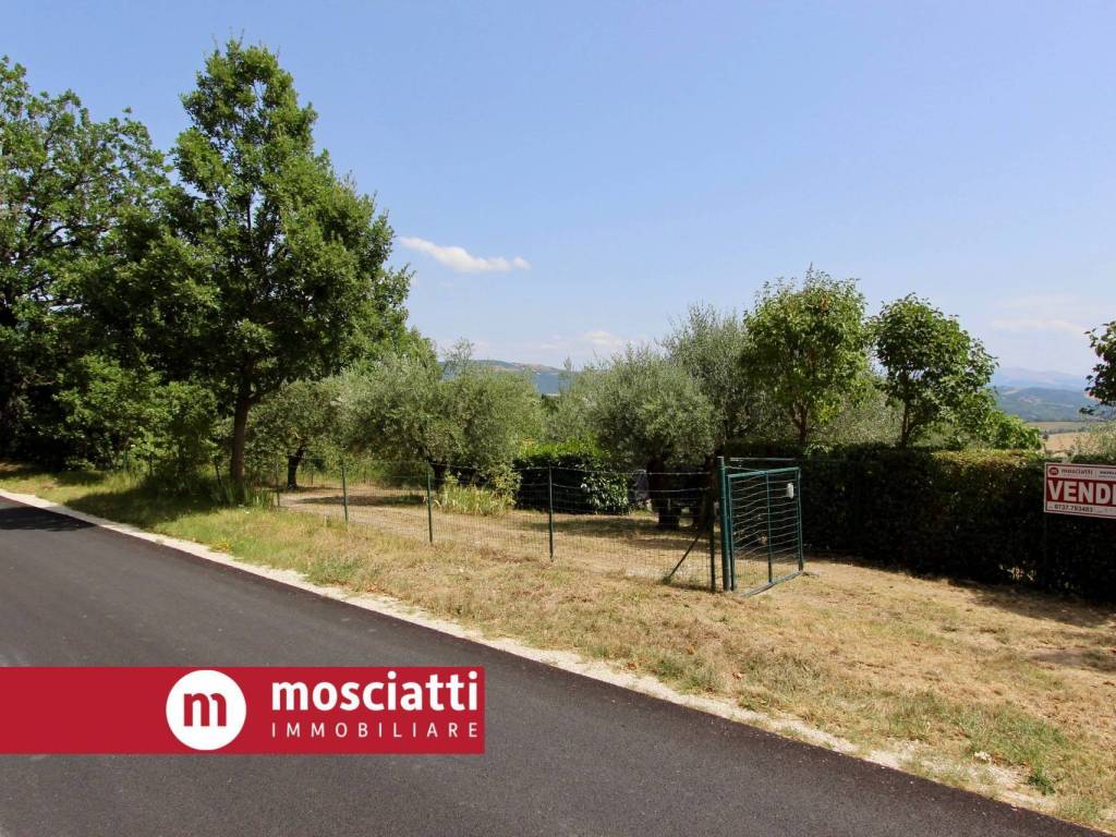 Terreno a Gagliole in Località Tallano - Foto 4