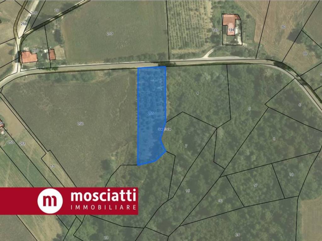 Terreno a Gagliole in Località Tallano - Foto 5