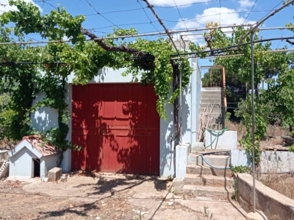 Terreno a Presicce-acquarica in Via per Specchia - Foto 2