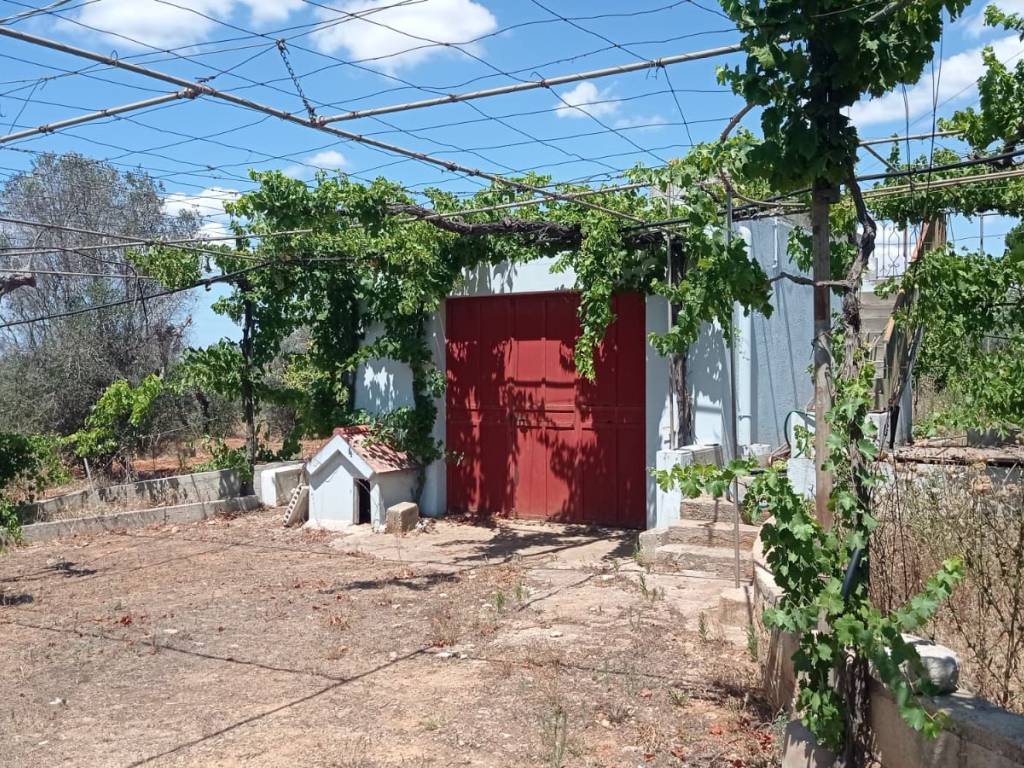 Terreno a Presicce-acquarica in Via per Specchia - Foto 3