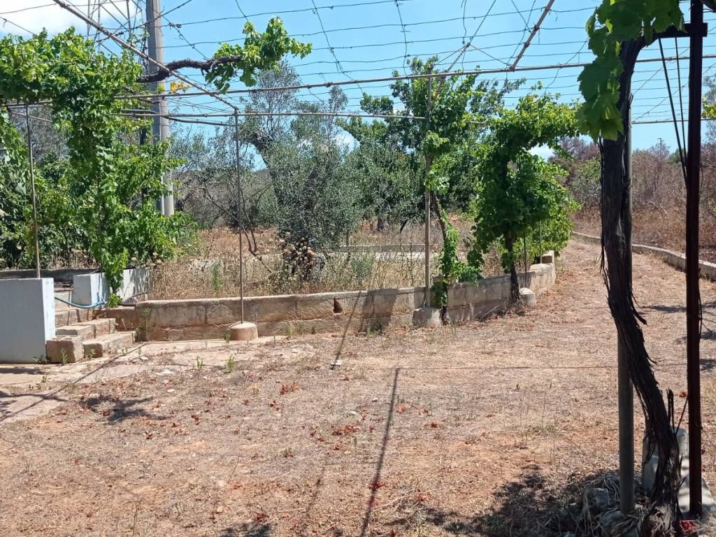 Terreno a Presicce-acquarica in Via per Specchia - Foto 5