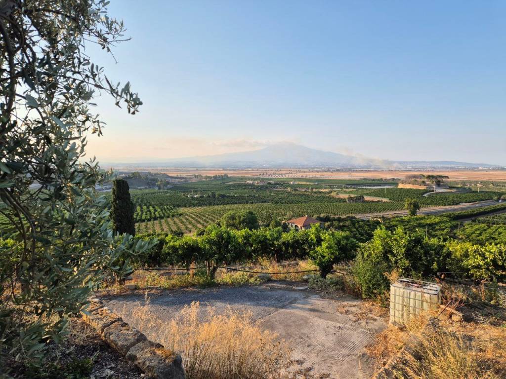 Terreno a Lentini in Contrada Carmito - Foto 4