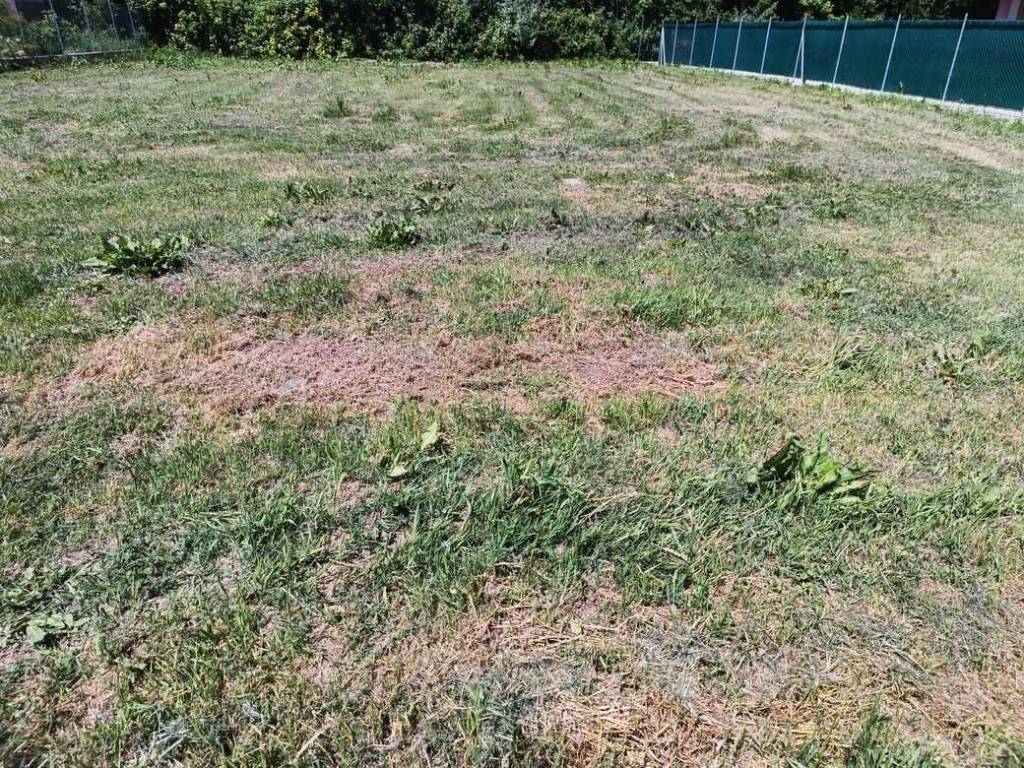 Terreno a Lugo in Via Bernardino Brignani, 9 - Foto 2
