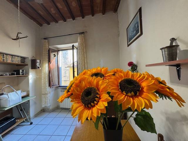 Appartamento a Pescia in Via dei Vetturali - Foto 3