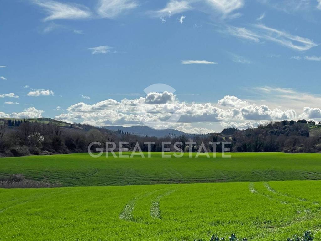 Rustico / casale a Montalcino - Foto 4