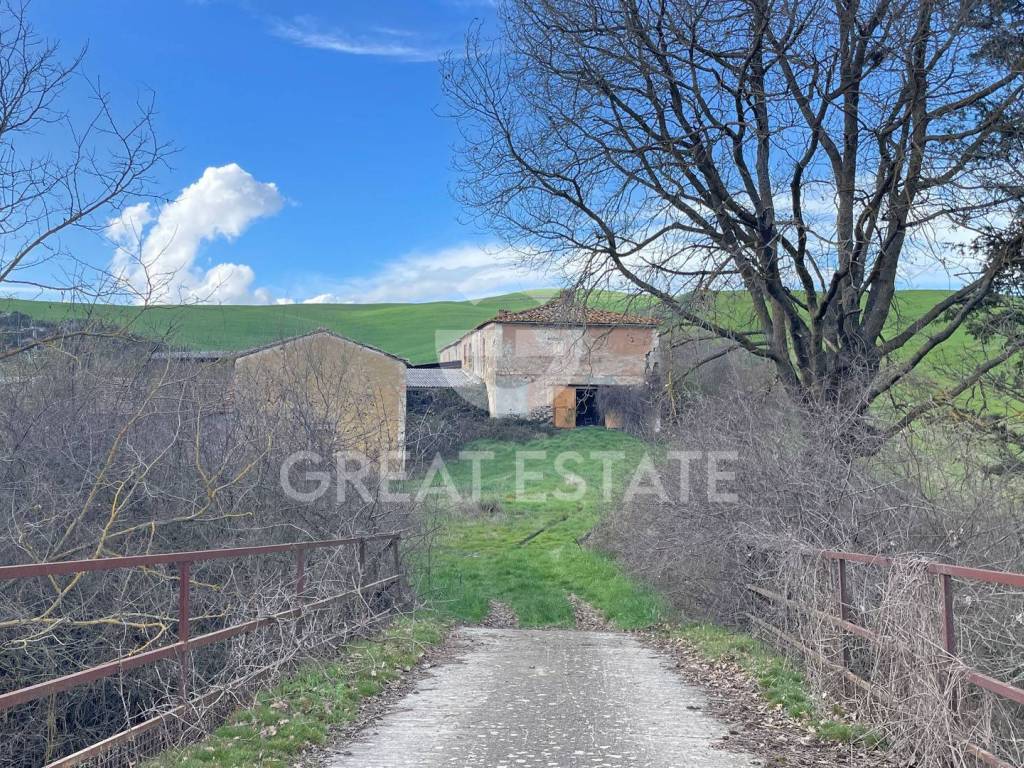 Rustico / casale a Montalcino - Foto 5