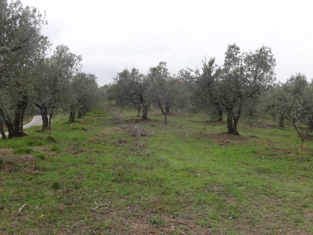 Terreno a Lucca in Via per Corte Bimbo - Foto 2