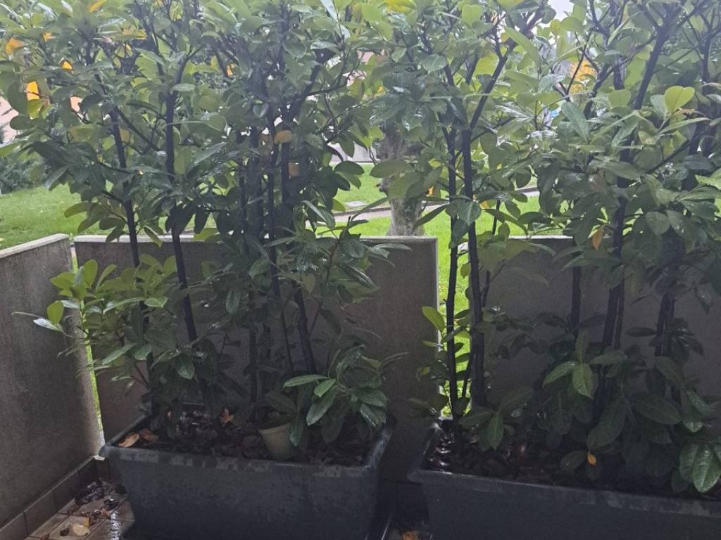 Appartamento a Rubano in VIA CAVOUR - Foto 5