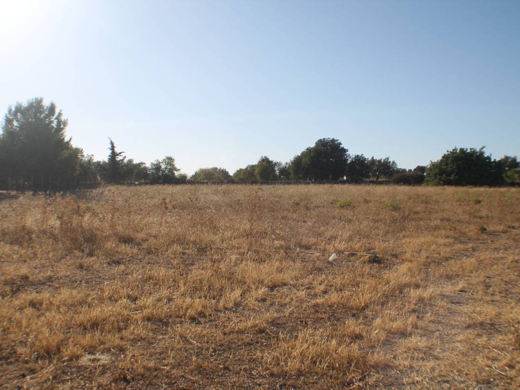 Terreno a Scicli in Contrada Santa Rosalia - Foto 3