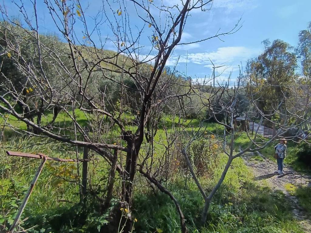 Terreno a Catanzaro in Viale Tagliamento - Foto 3