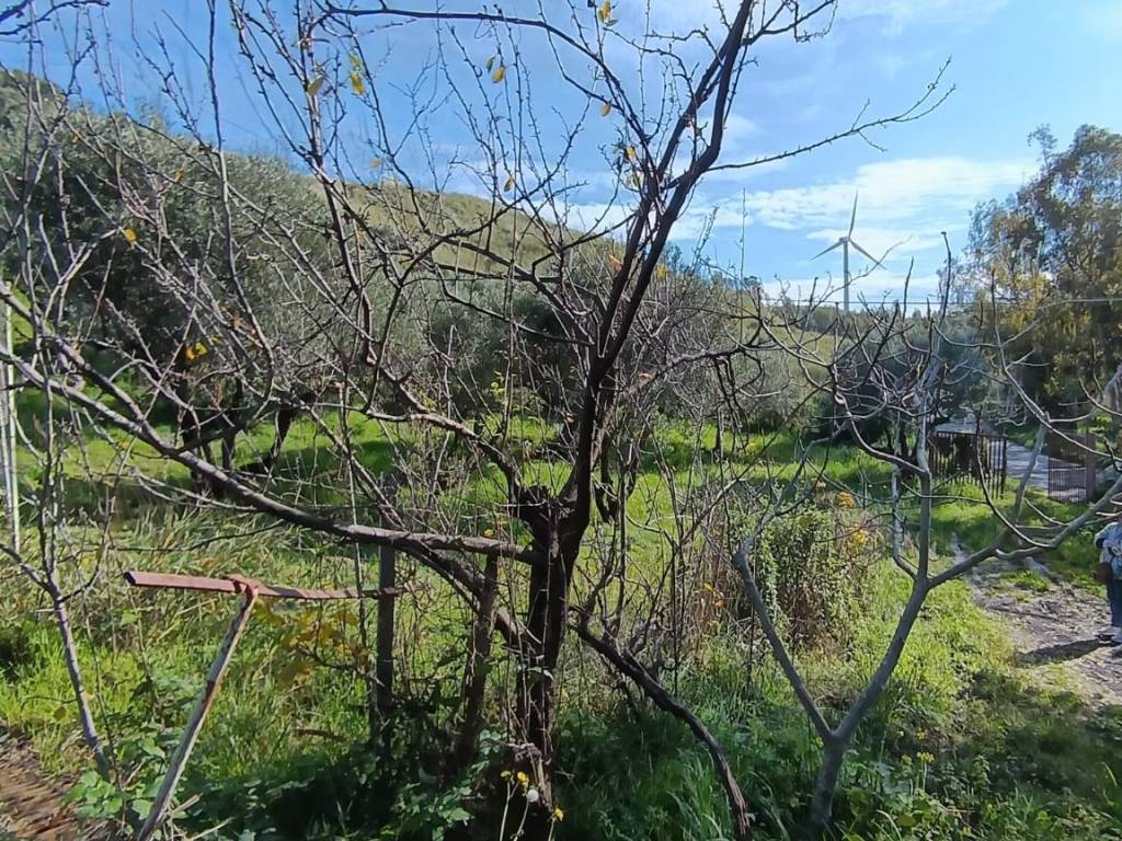 Terreno a Catanzaro in Viale Tagliamento - Foto 4