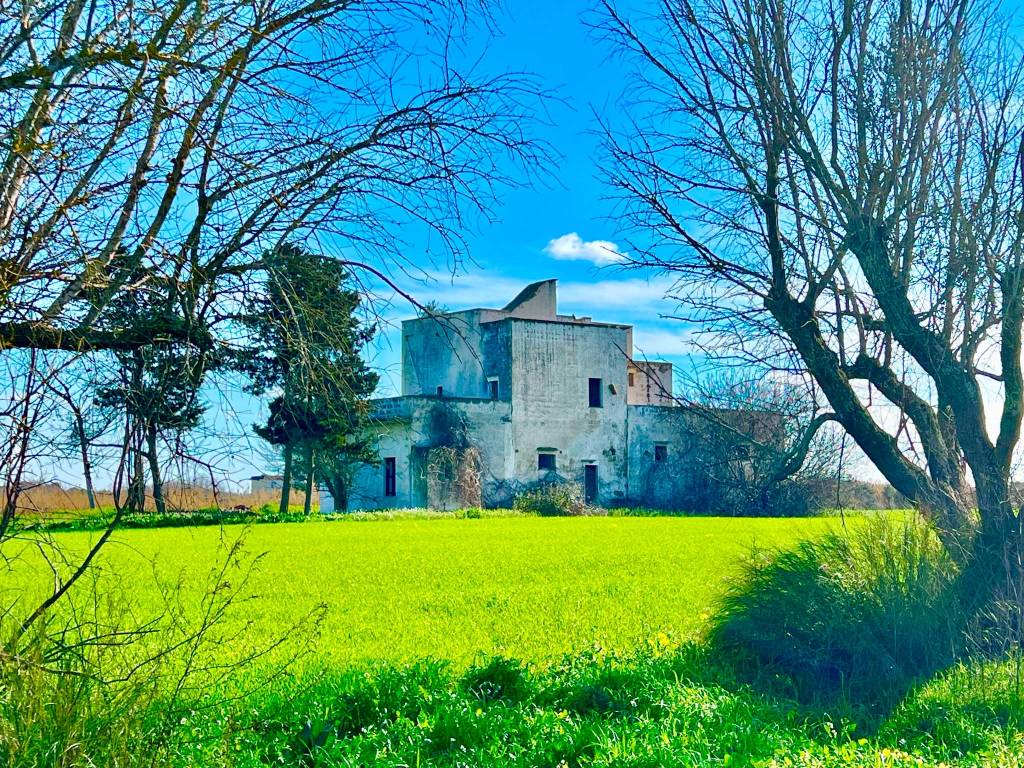Rustico / casale a Cutrofiano in Strada Provinciale Collepasso Noha - Foto 2