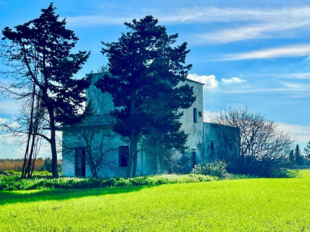 Rustico / casale a Cutrofiano in Strada Provinciale Collepasso Noha - Foto 3