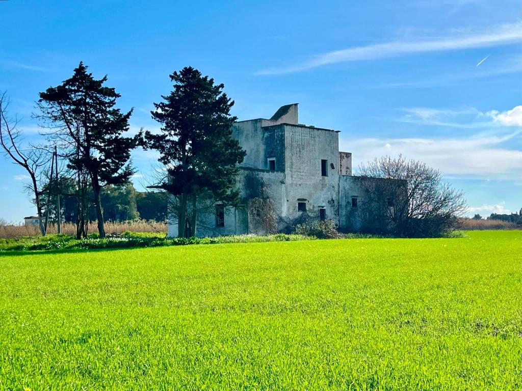 Rustico / casale a Cutrofiano in Strada Provinciale Collepasso Noha - Foto 4