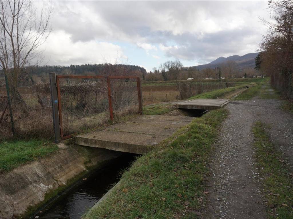 Terreno a Sarteano - Foto 5