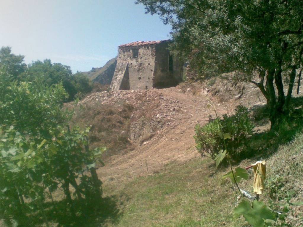 Rustico / casale a Maierà in SP11 - Foto 4