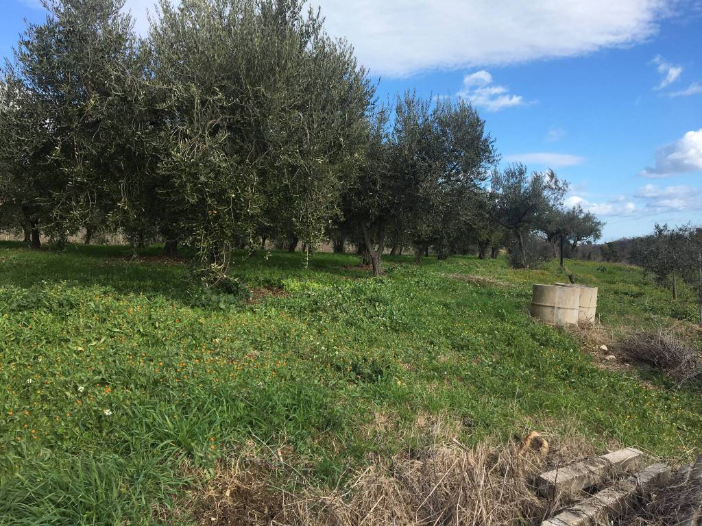 Terreno a Ortona in Strada Provinciale Ex Adriatica 1 - Foto 2