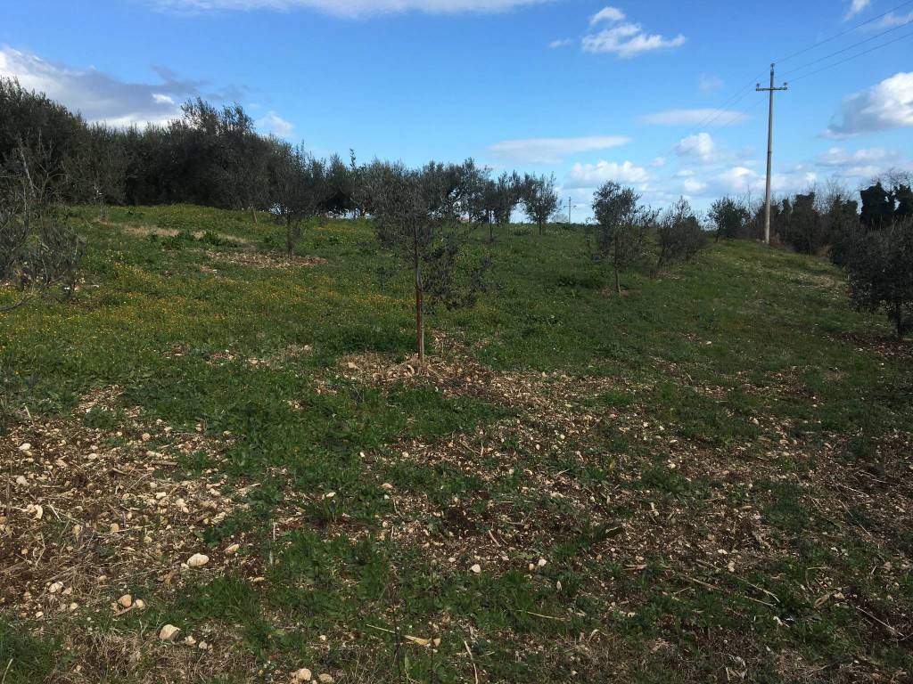 Terreno a Ortona in Strada Provinciale Ex Adriatica 1 - Foto 4