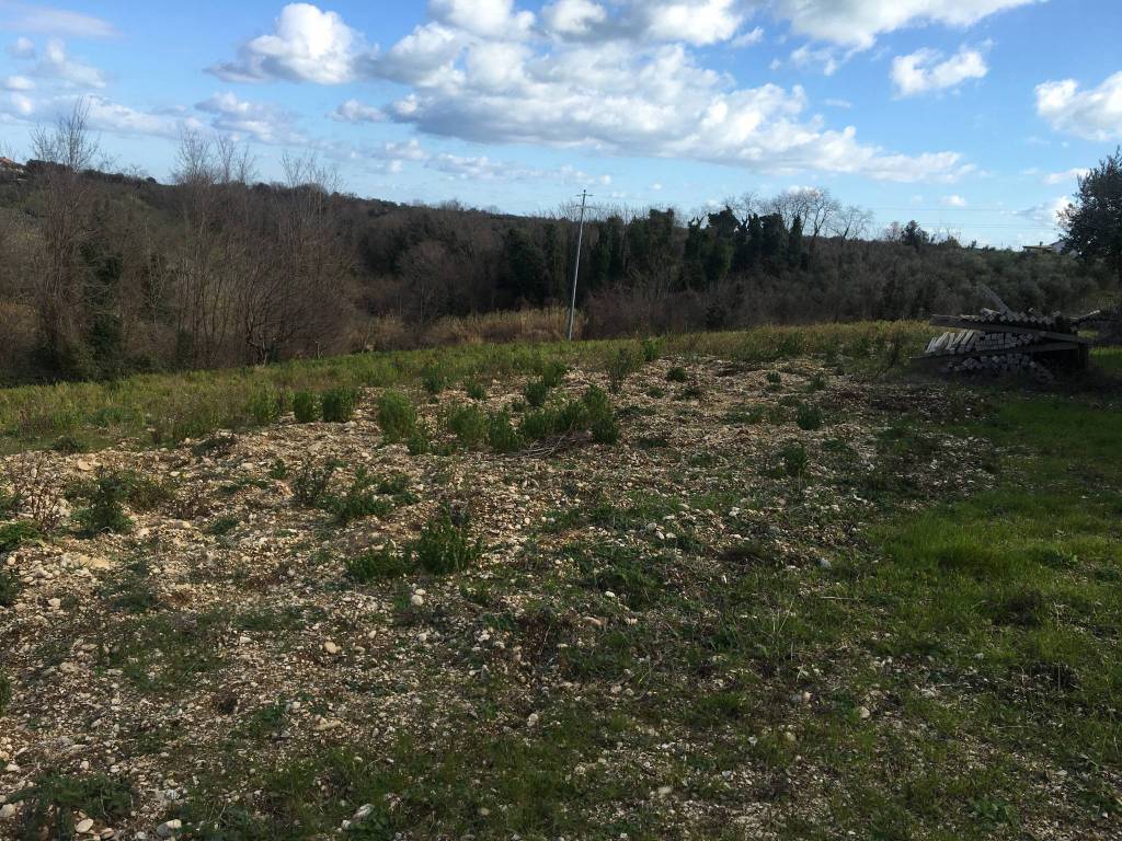 Terreno a Ortona in Strada Provinciale Ex Adriatica 1 - Foto 5