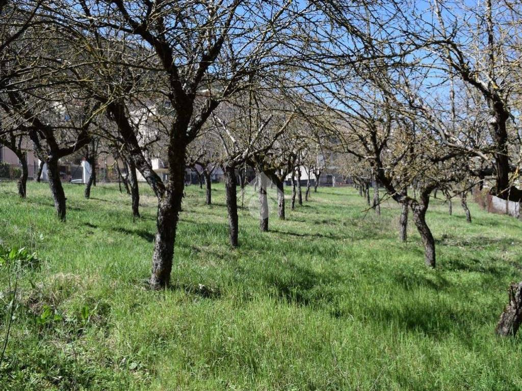 Terreno a Tagliacozzo in Via Balilla - Foto 3