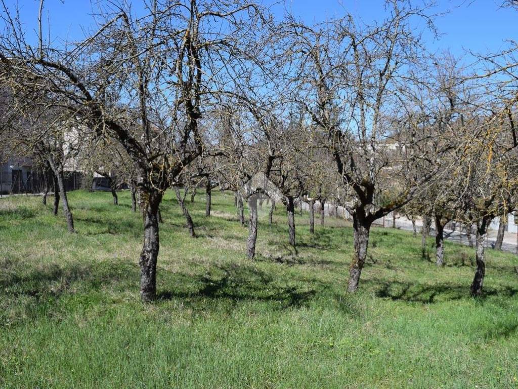 Terreno a Tagliacozzo in Via Balilla - Foto 4
