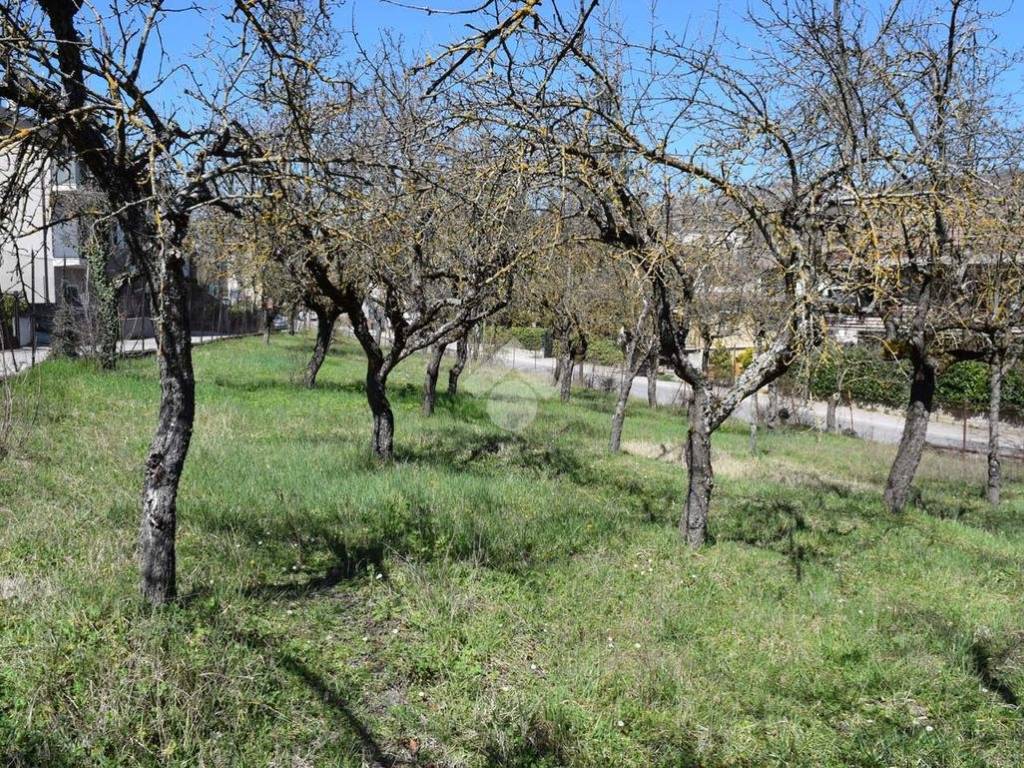 Terreno a Tagliacozzo in Via Balilla - Foto 5