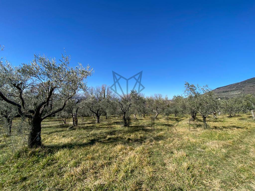 Terreno a Assisi in Via Fosso Rosceto - Foto 2